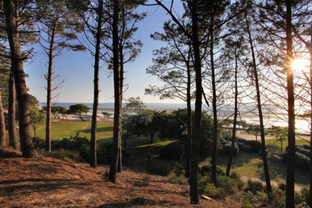 Appart Sur La Plage Pied Dans L Eau Avec Terrasse Jardin Vue Sur Le Bassin Depuis La Terrasse , Parking Αρασόν Εξωτερικό φωτογραφία