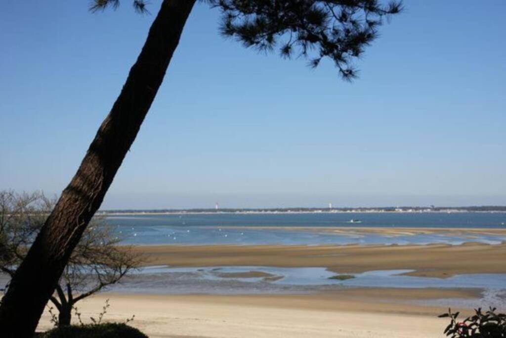 Appart Sur La Plage Pied Dans L Eau Avec Terrasse Jardin Vue Sur Le Bassin Depuis La Terrasse , Parking Αρασόν Εξωτερικό φωτογραφία