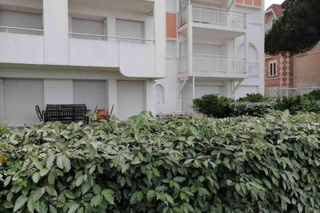 Appart Sur La Plage Pied Dans L Eau Avec Terrasse Jardin Vue Sur Le Bassin Depuis La Terrasse , Parking Αρασόν Εξωτερικό φωτογραφία