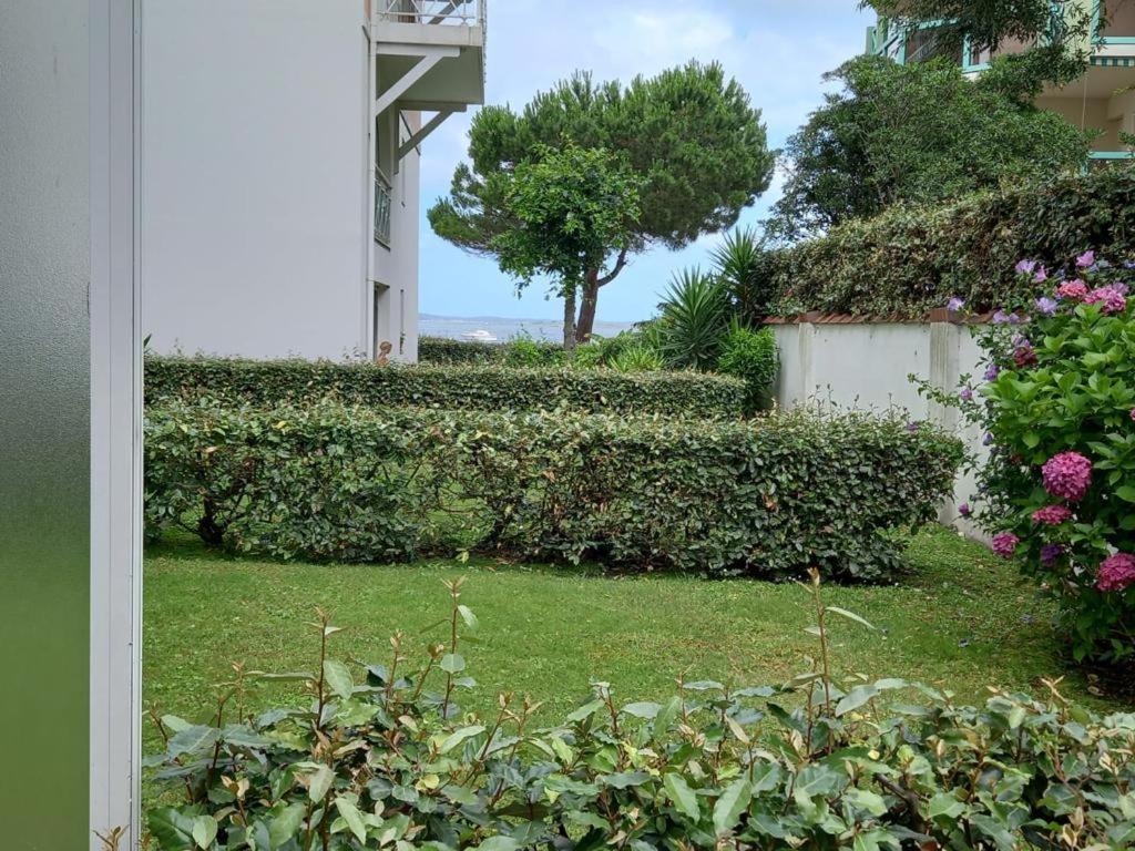 Appart Sur La Plage Pied Dans L Eau Avec Terrasse Jardin Vue Sur Le Bassin Depuis La Terrasse , Parking Αρασόν Εξωτερικό φωτογραφία